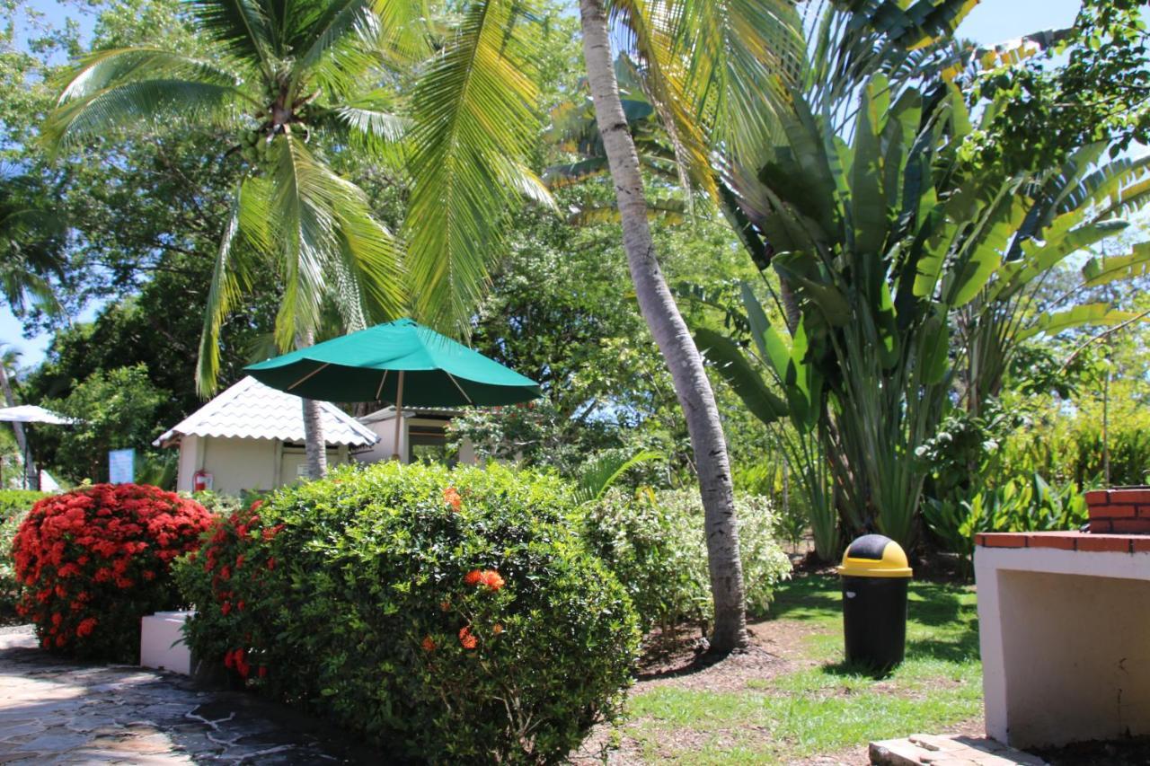 Ferienwohnung Tropical Bliss Pool Wi-Fi Bbq Near Quepos Manuel Antonio Exterior foto