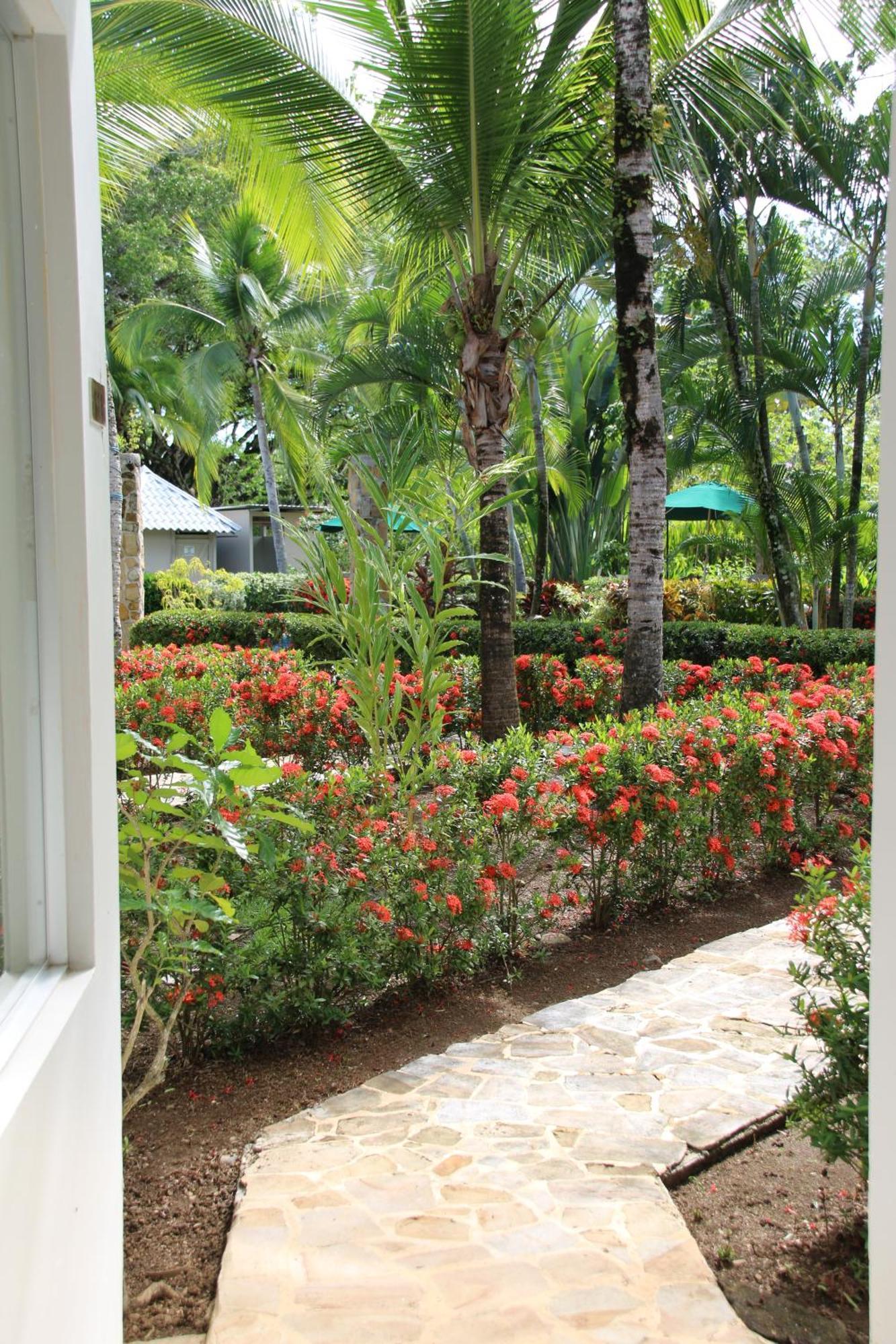 Ferienwohnung Tropical Bliss Pool Wi-Fi Bbq Near Quepos Manuel Antonio Exterior foto